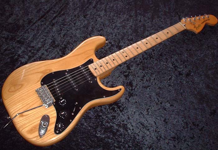 fender_strat_nature_79.jpg